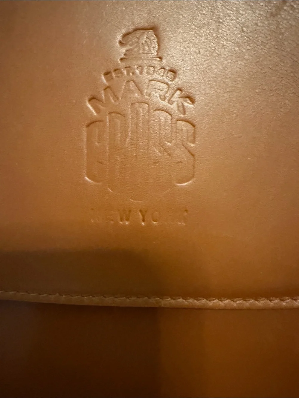 Everyday Leather Crossbody Bag in Brown